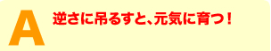 逆さに吊るすと、元気に育つ！