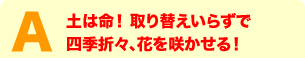 土は命！取替えいらずで四季折々、花を咲かせる！